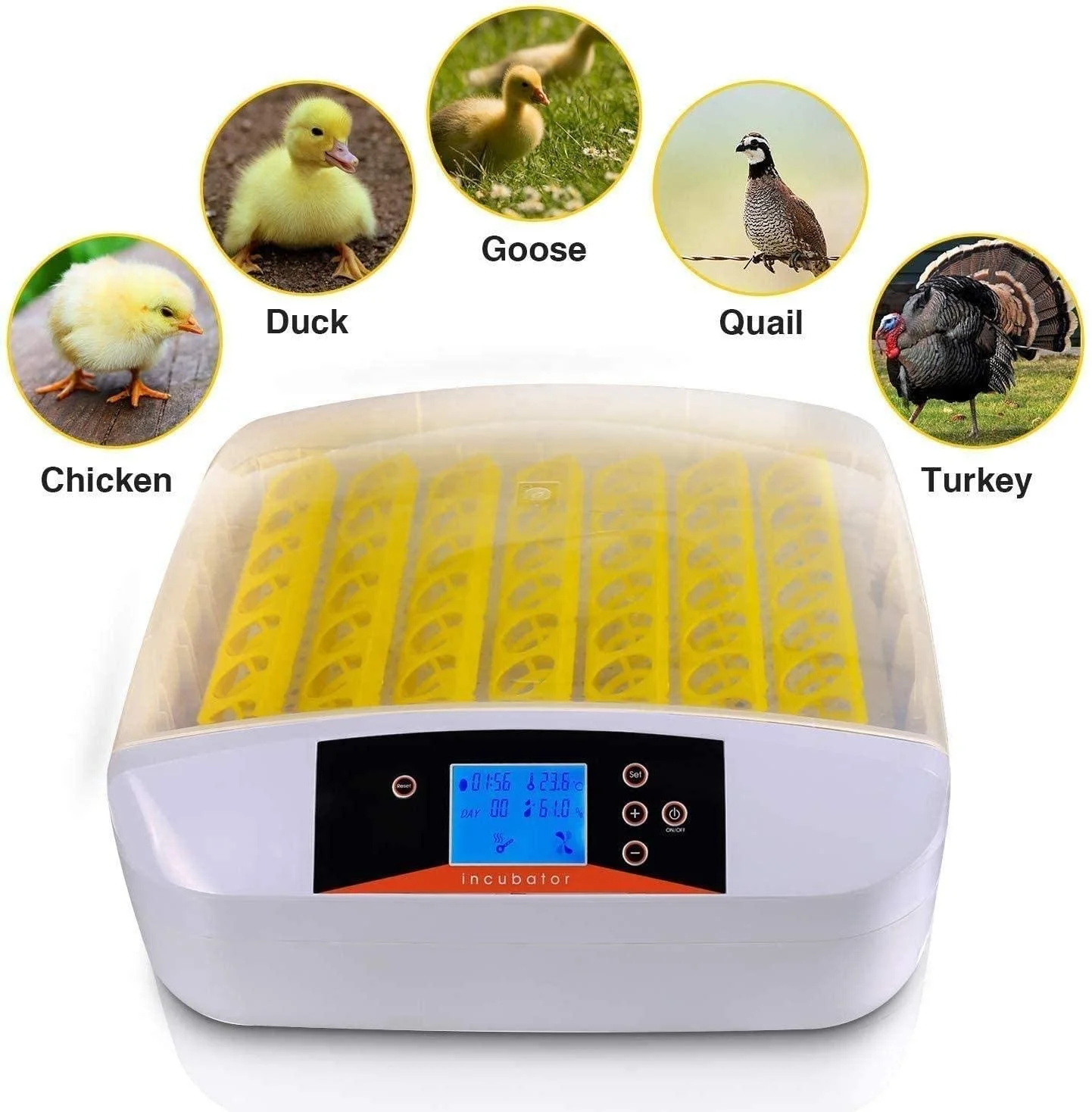 Family Used Full Automatic Brooder Mini 56 Eggs Incubator For Chicken Quail Duck and Birds