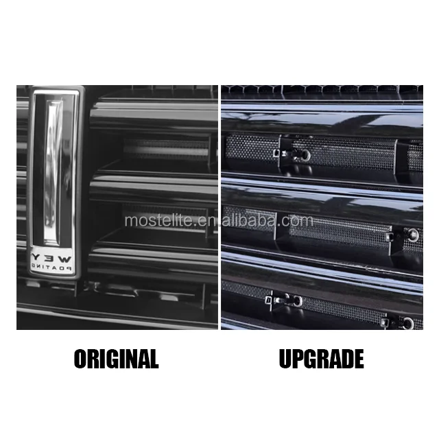 High Quality Stainless Steel Radiator Water Tank Protector Grille Anti Insect Net for GWM Tank 300