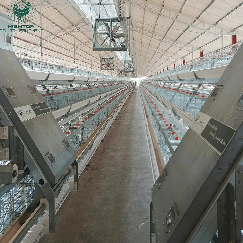 Hightop Automatic Cage System A Type Galvanized Wire Mesh Egg Chicken Layer Hens Battery Cage For Poultry Sale