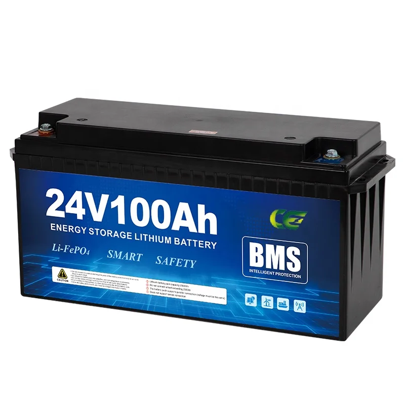 Lowest Price Long Cycle Life Lithium Battery 24V 100Ah Factory LiFePO4 Solar Energy Storage With Smart BMS Safety Battery