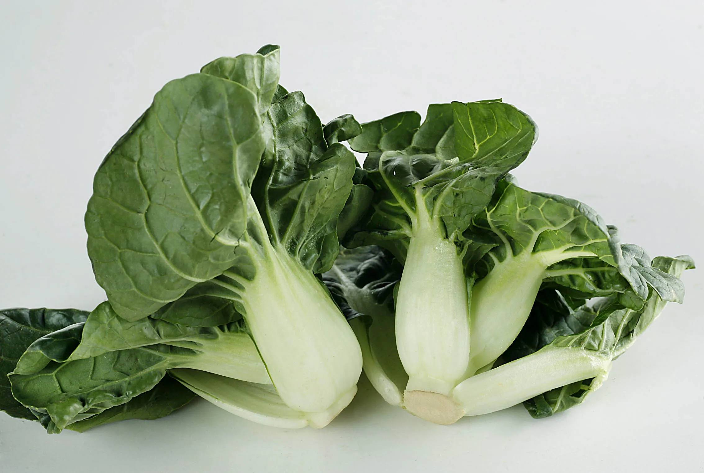 
harvester improve seedlings pakchoy Chinese vegetable cabbage seeds 1kg/bag 