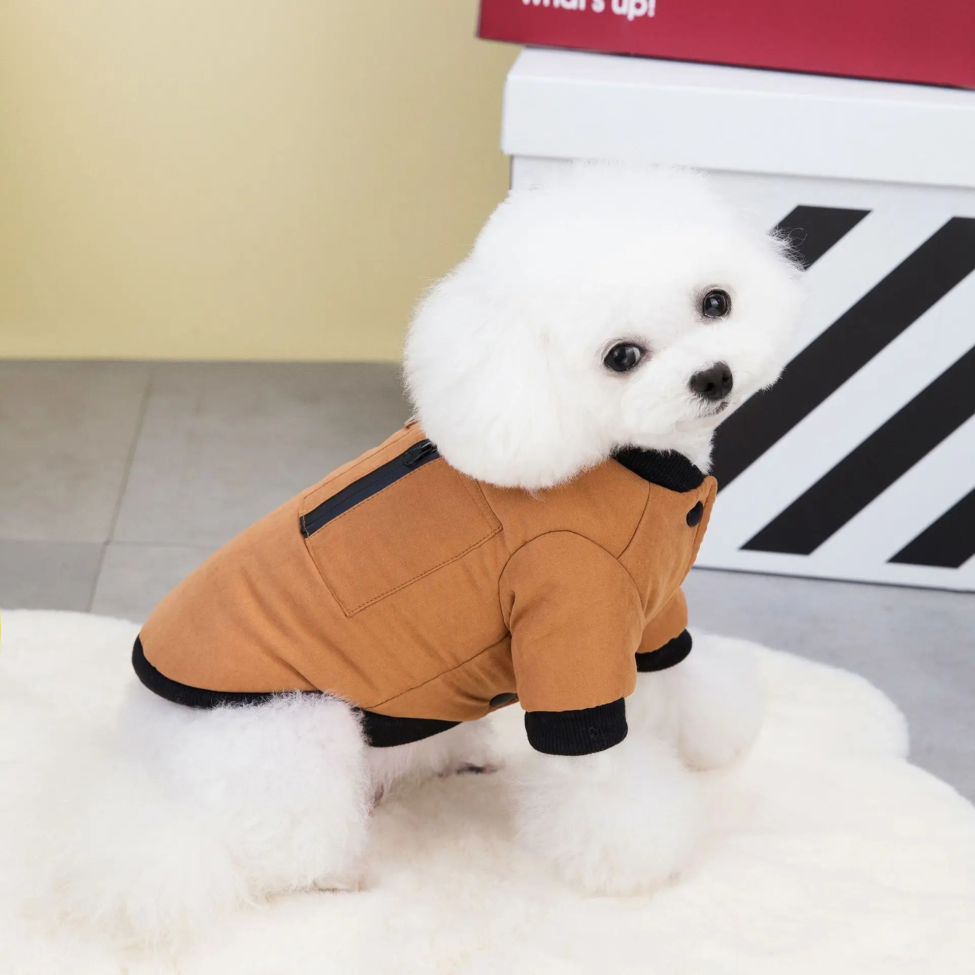 Factory Direct Selling Breathable Dog Clothes Multi Color Warm Outfit For Pet Dog