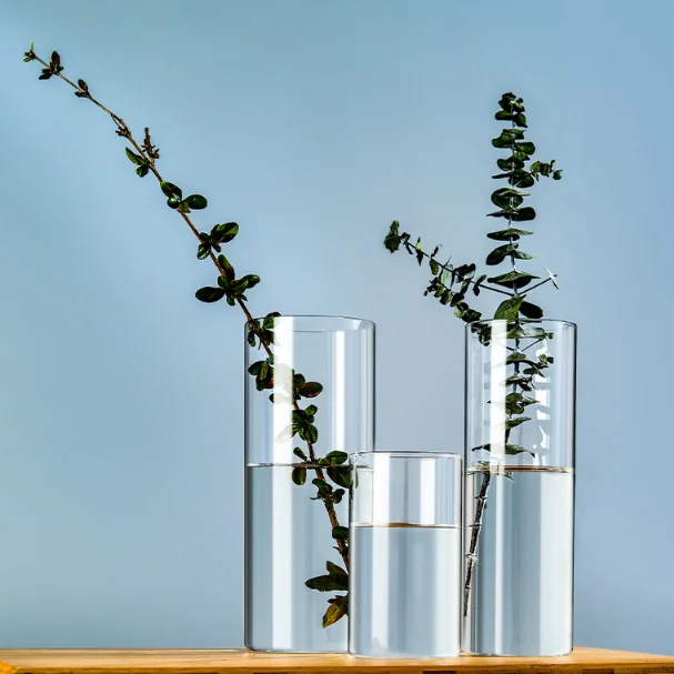 Custom Multiple Sizes Borosilicate 3.3 Glass Vase Candle Tall Cylinder Floral Abstract Clear Glass Vase for Home Decor