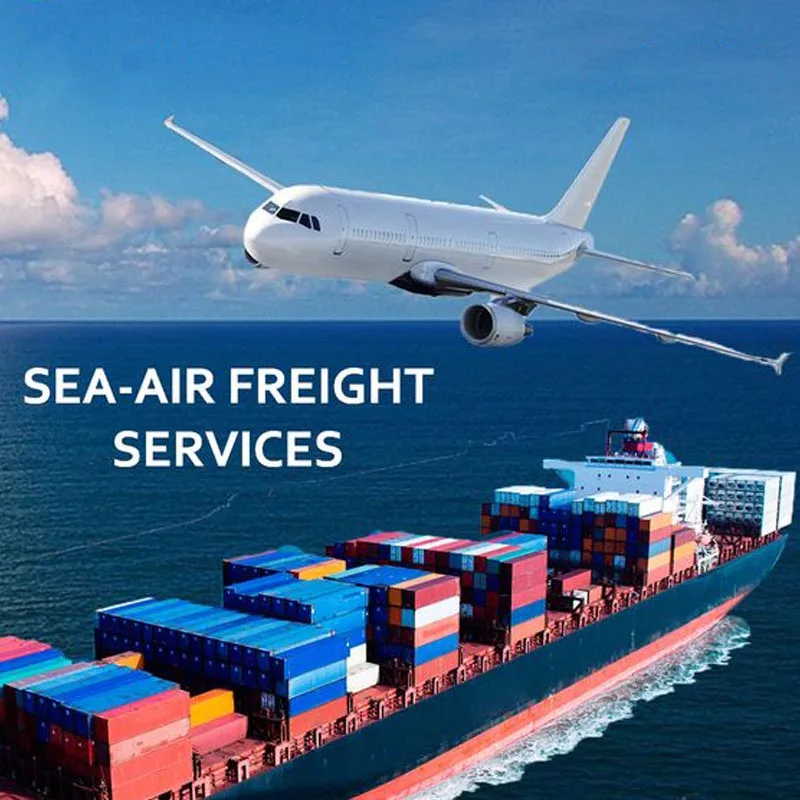 Door to Door Services Sea Freight Forwarder Amazon China to UK France Germany Spain Shipping Agent From China to USA Warehouse