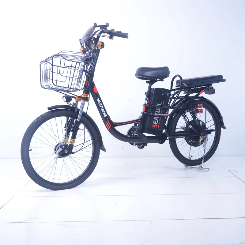 2022 The Newest Style City Electric Bicycle Charger WithHigh Quality Electric Bicycle Battery