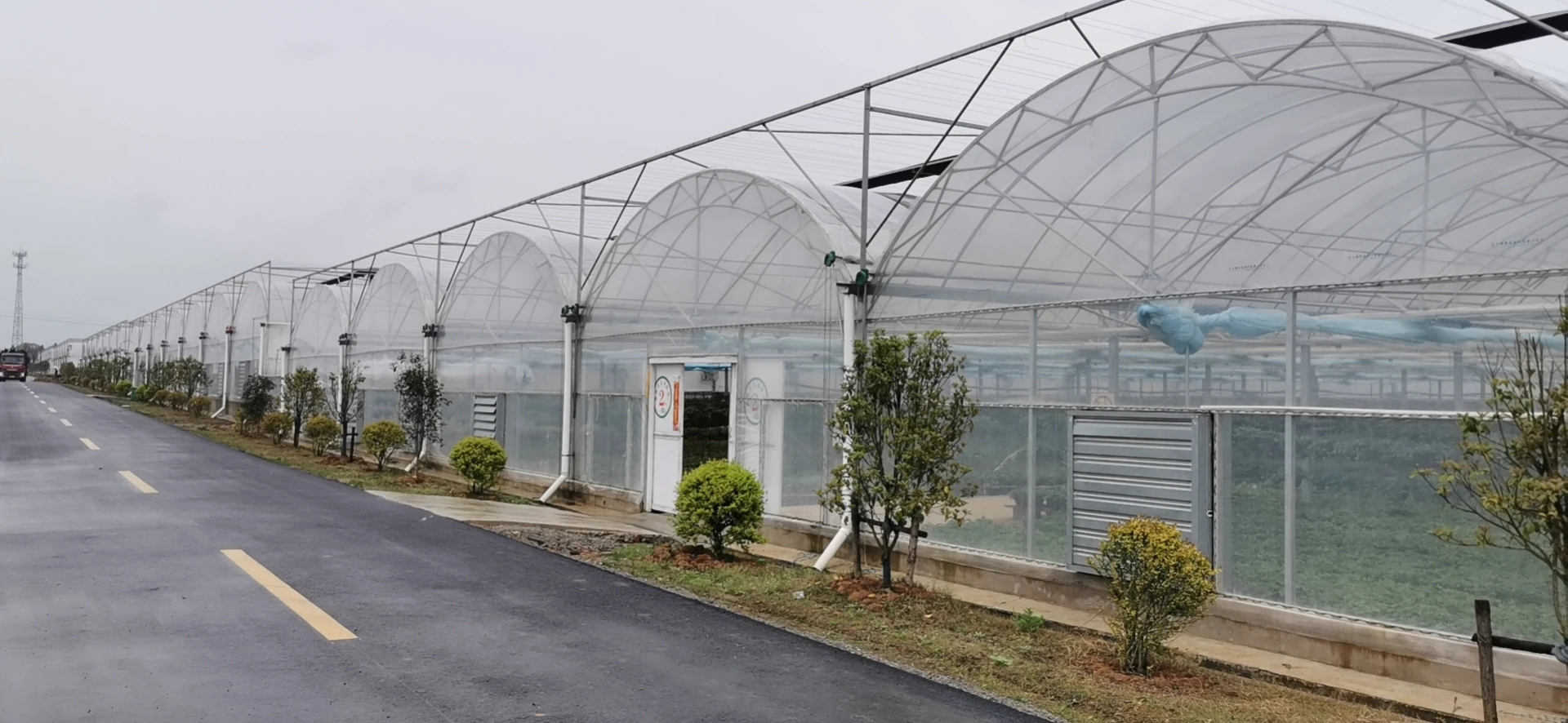 multi span film green house greenhouse structure commercial used greenhouse frames for sale