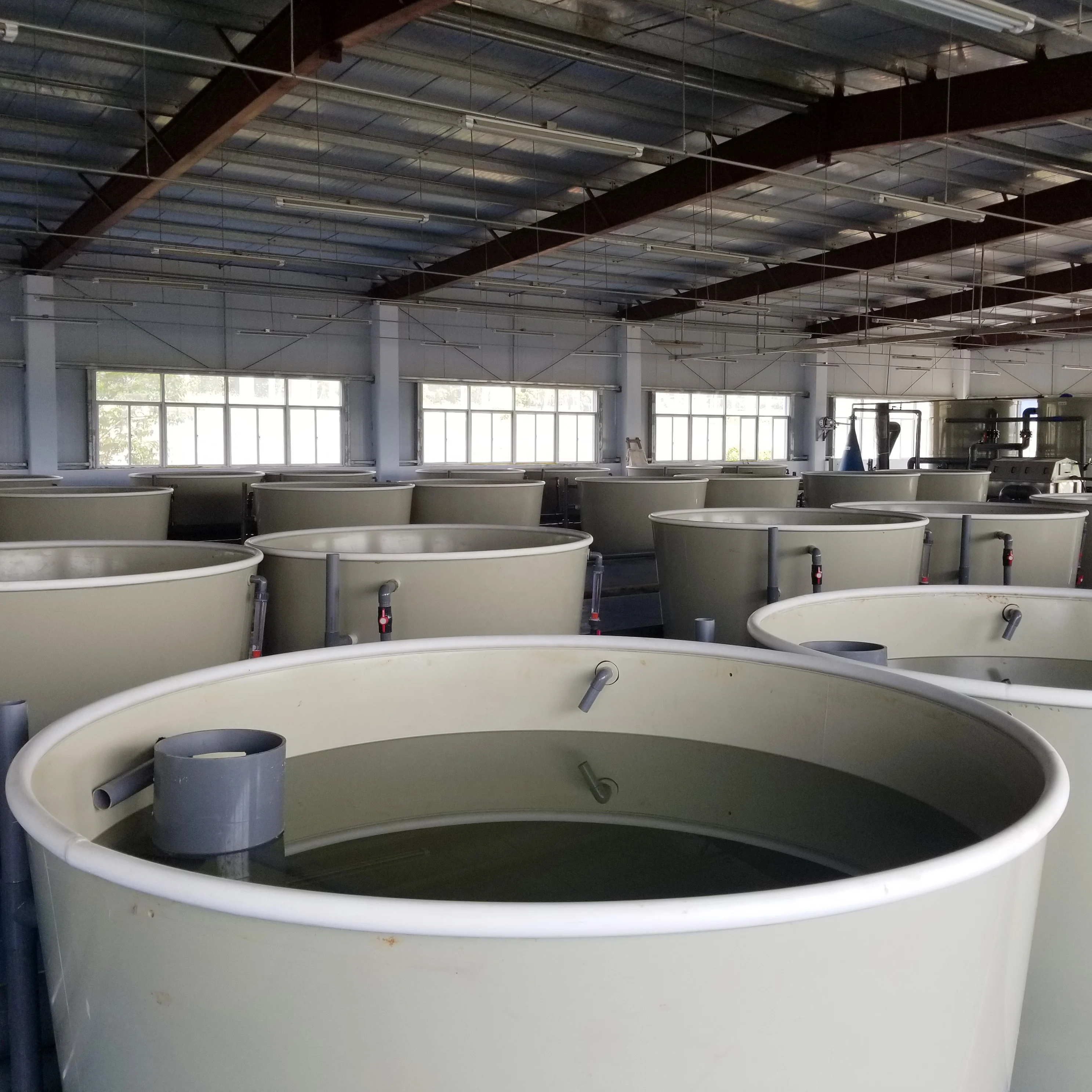 
large commercial fish tanks for fish farm 