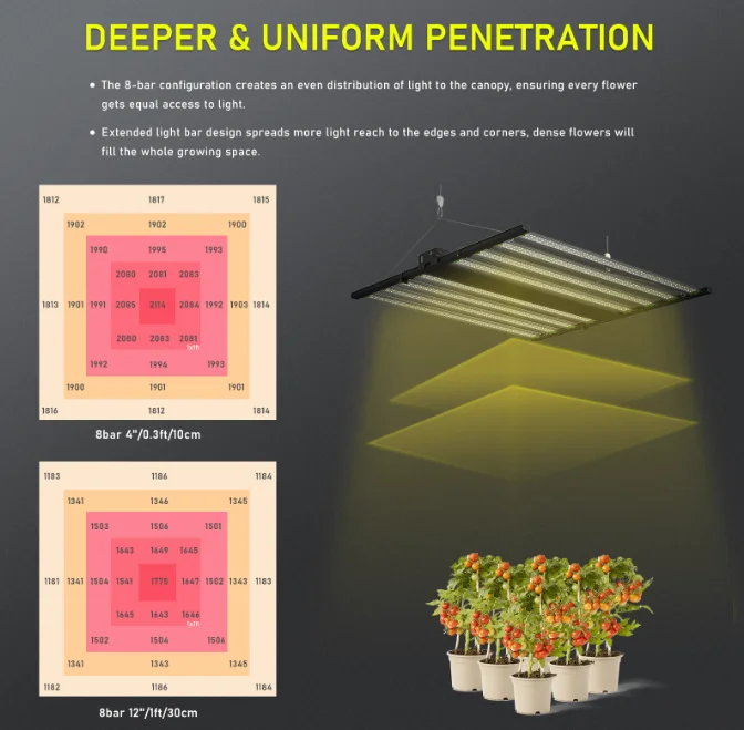 Full Spectrum Light 660nm Plant Light 800w 1000w 1200w LED Plant Grow Lamp For Indoor Vertical Farming