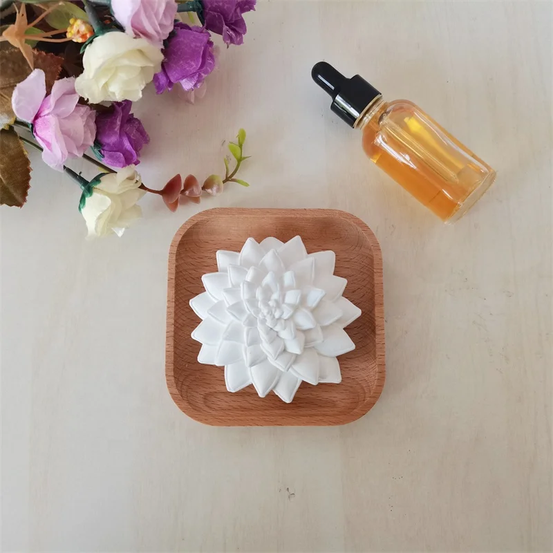 Succulent aroma stone diffuser with wood plate