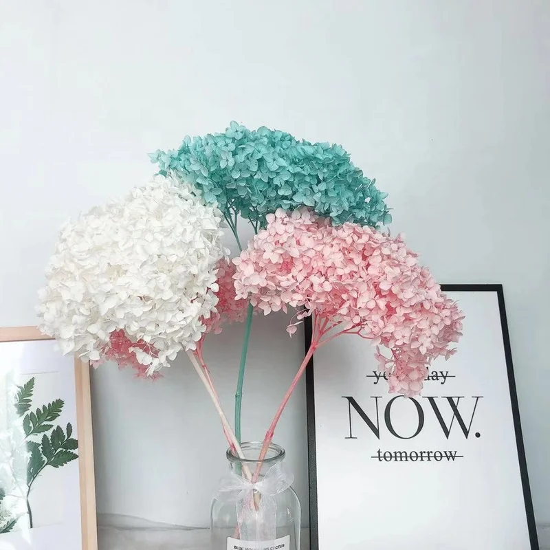Yunnan Hot Sale Factory Wholesale Natural Dried Preserved Flower Hydrangea for Home and  Wedding Decoration Real Flower  Bouquet