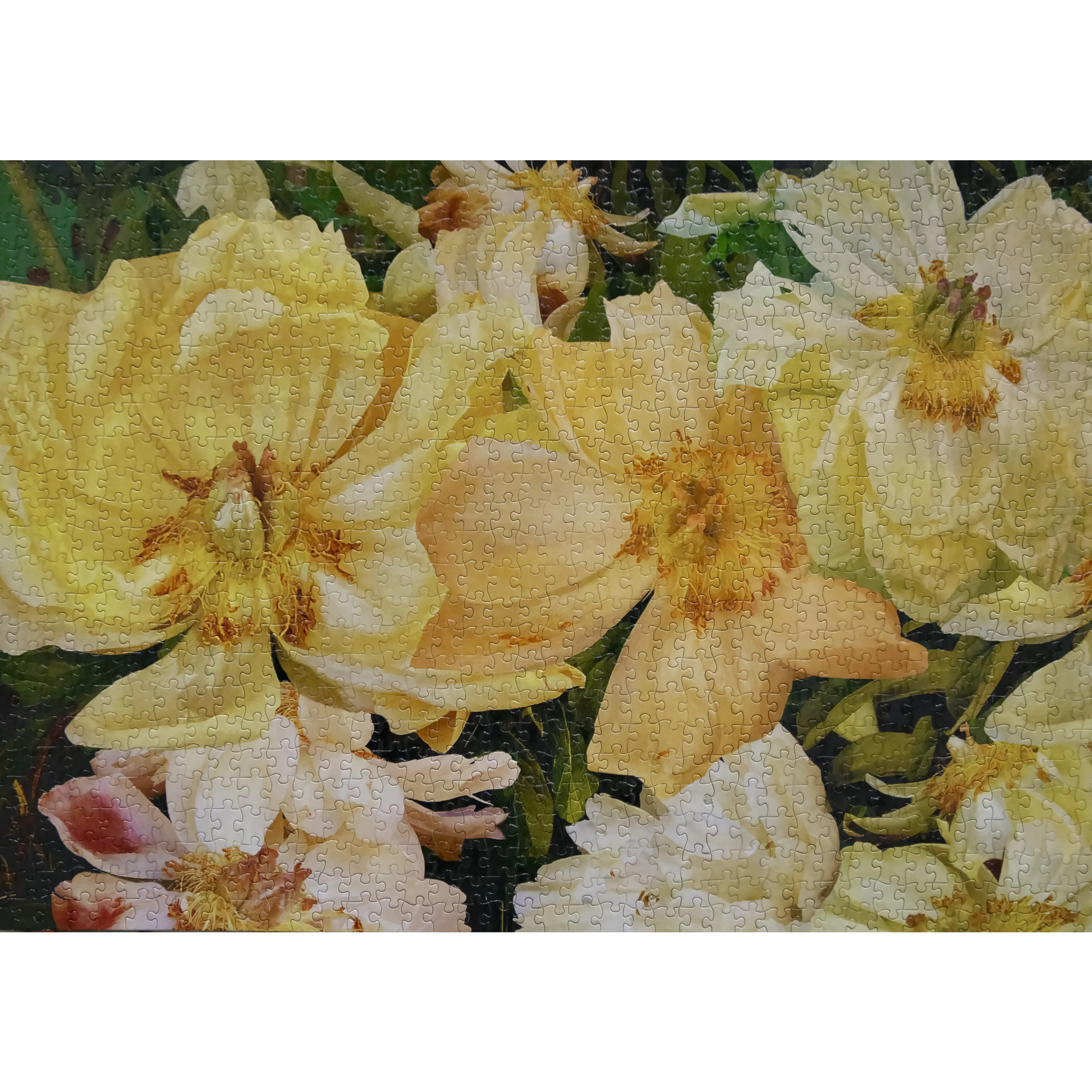 High quality different shape diy adult kids jigsaw puzzle  manufacturer custom 500 1000 jigsaw puzzle for adult