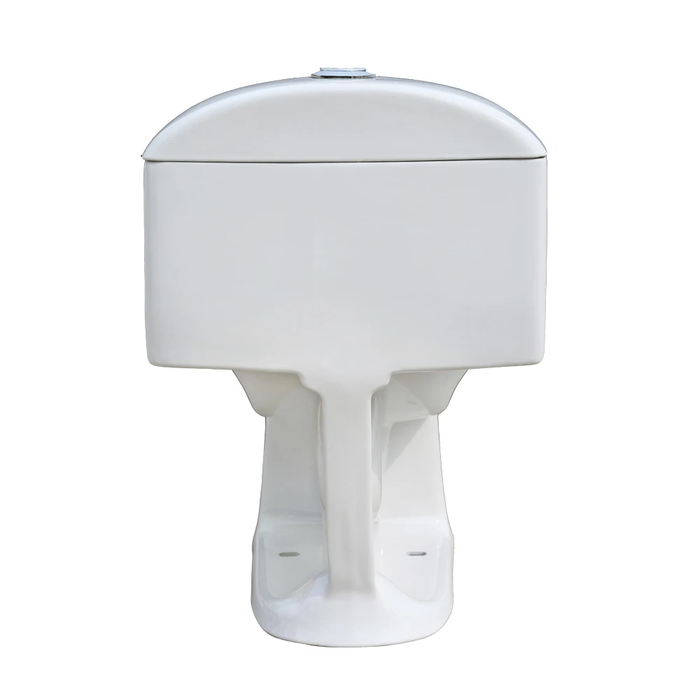 Bathroom Economics Inodoros De Una Pieza Rimless Siphonic Corona One Piece Toilet