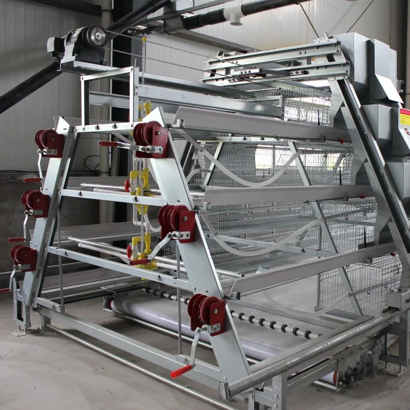 Automatic Pullet Chick Battery Cage for Day Old Layer Chick Cage