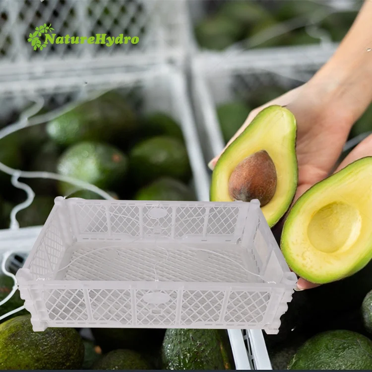 Vegetable Fruits Collapsible Shipping Crates Plastic Packing Basket Avocado Foldable Basket