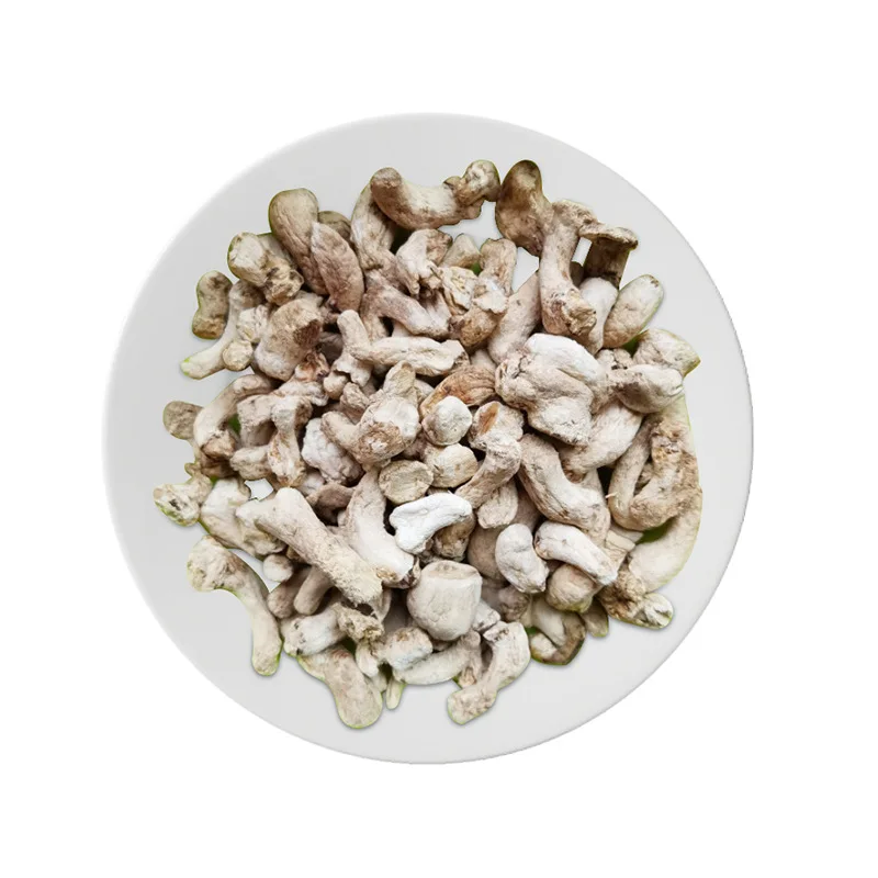 Shiitake roots Wholesale pure dried shiitake stems for sale