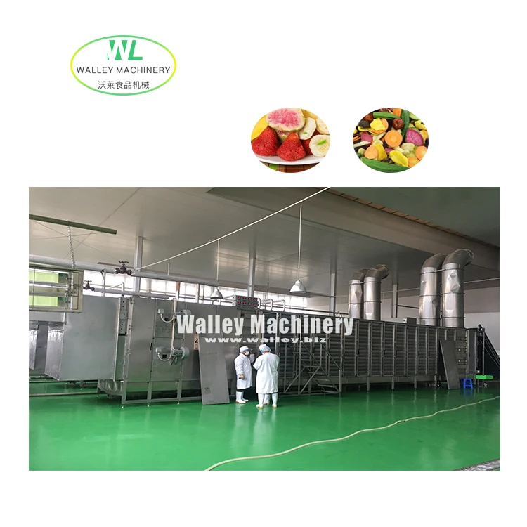 Factory Price Customized Mulit-layer Belt Dryer Black Pepper Fruits Drying Machine