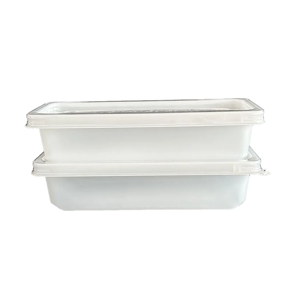 New Product 2 Compartment Rectangular Food Container Tiffin Packaging Box