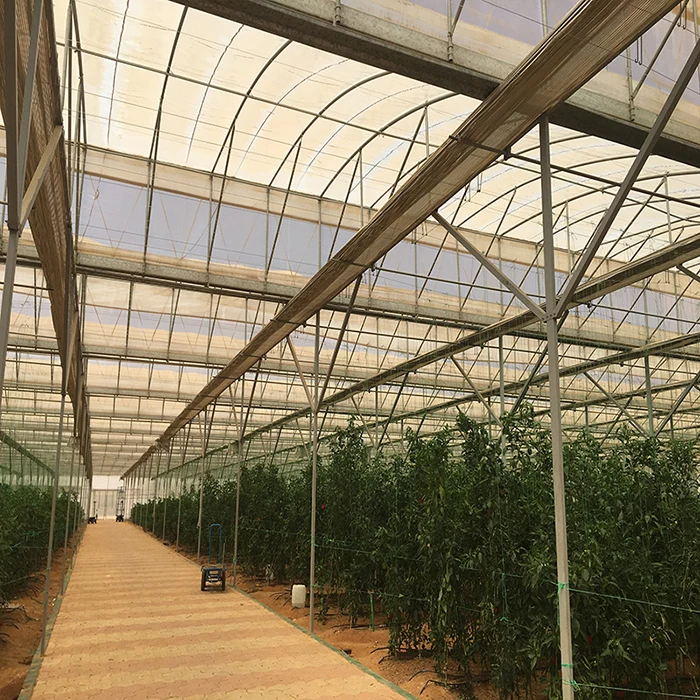 Flash Sale Agricultural Reinforced PE Plastic Film Roll Covering For Woven 200 Micron Greenhouse Plastic Film