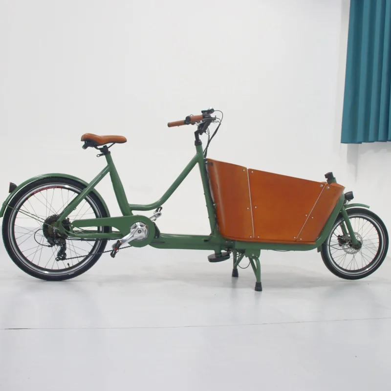 Electric Cargo Bikes 2 wheels cargo bike electric ebike e-cargo family e bicycle Cargo Bafang M600 M620  Motor