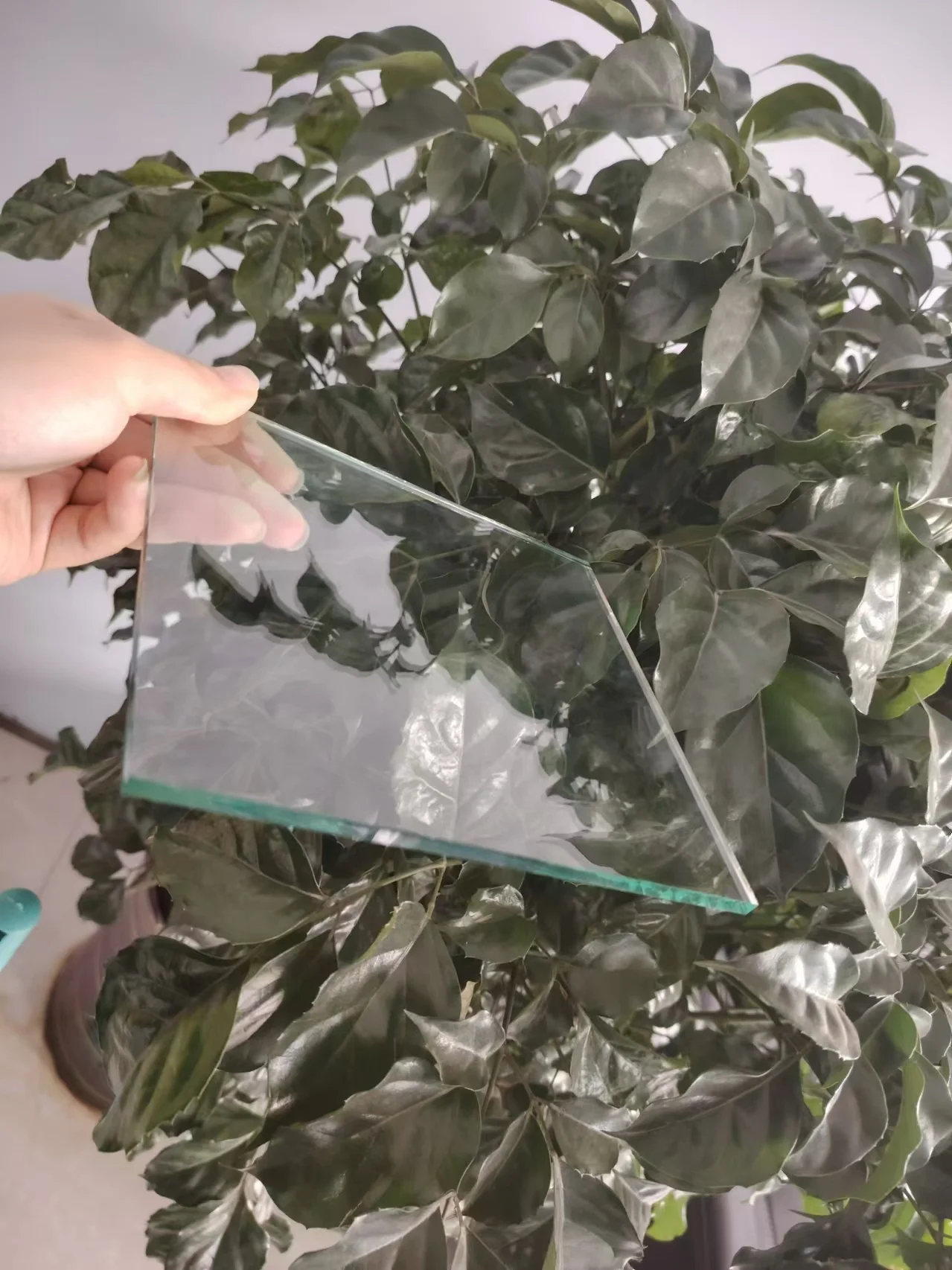 Factories Direct Clear Float Glass for Window & Building Use Various Sizes Available for Glass Walls & Curtain Walls