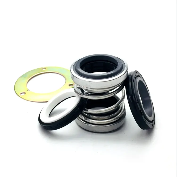 Stainless Steel Chemical Water Pump Seal Kit Rubber and Plastic Mechanical Shaft Seals with SIC and Silicone TC Style