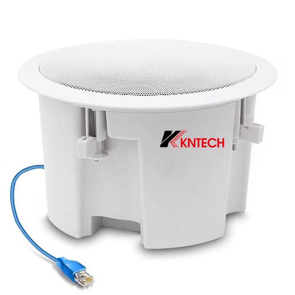 Сетевой SIP-динамик VoIP, языческая система, IP-динамик, Потолочные динамики