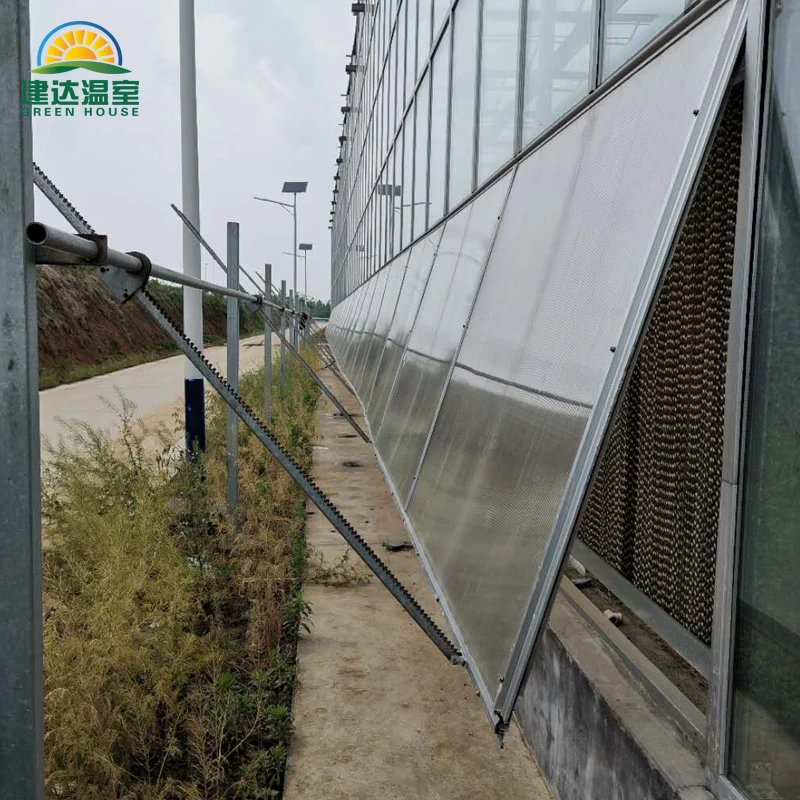 multi-span class Greenhouse restaurant green house frame with Heating and insulation system