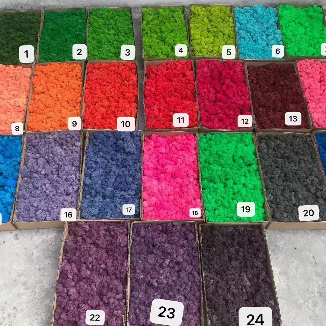 Green moss decorative preserved artificial moss wall custom-made preserved moss wall