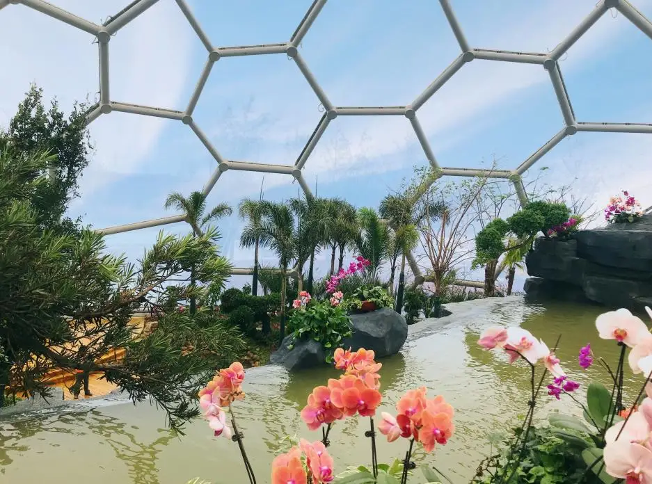 ETFE Stadium Roof Tensioned Membrane Structure Tent Stadium Shade Tent Membrane Structure PVDF PTFE Sale Cover Cross Steel Frame