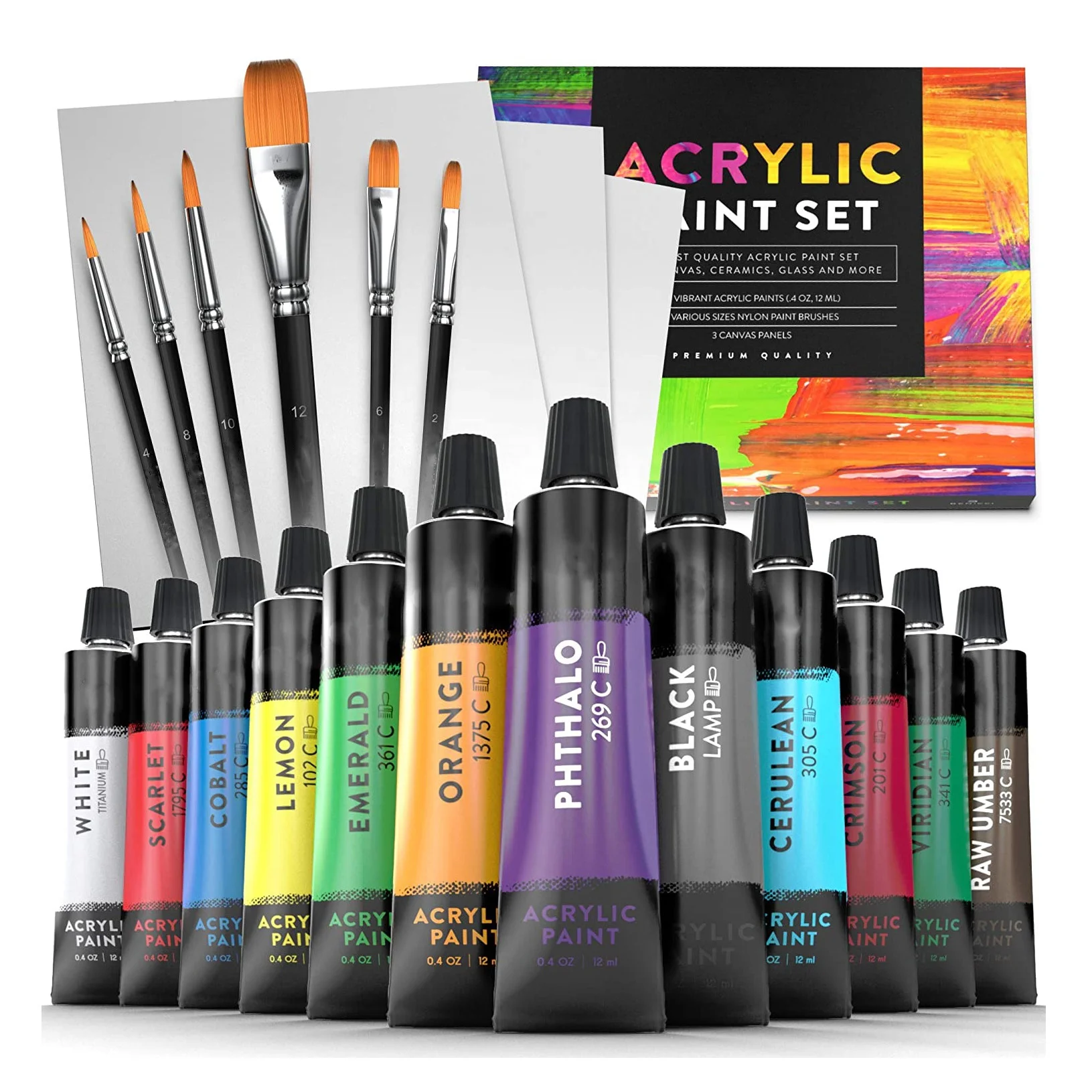 art set painting for beginners or professionalswith 6 Brushes and 3 Paint Canvases 12 non-toxic acrylic paint color