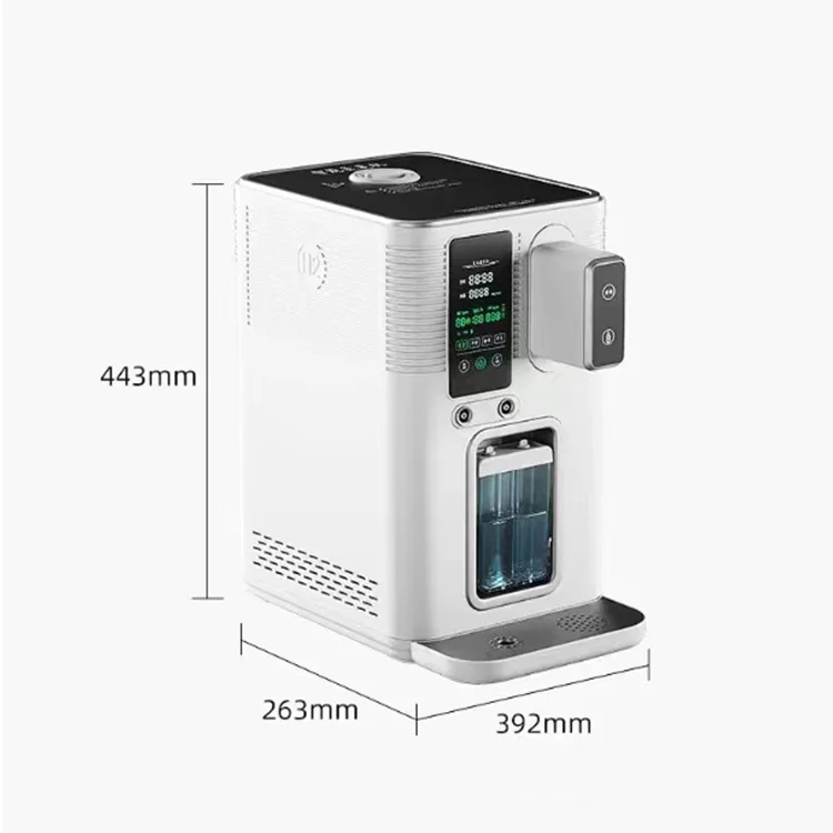 Hydrogen Generator 99.99% H2 Hydrogen Purity RO Water Purifier For Home TDS Hydrogen Inhalation Therapy Machine 4000-6000ppb