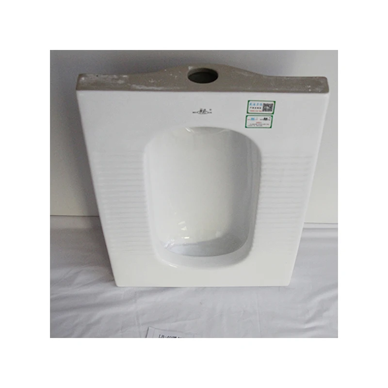 
Delicate Appearance Wc Bathroom Squat Dual Flushing Ceramic Squatting Pan 