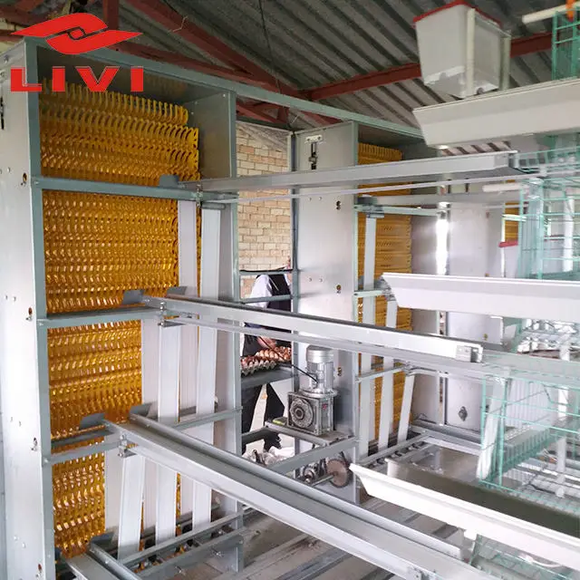 Hot Sale A Type 3 Tier 4 Tier Chicken Layer Battery Cage 96/120/128/160 Bird Capacity Chicken Cage With Automatic System