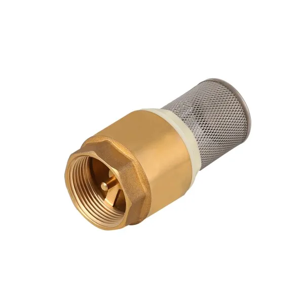 Латунный пружинный обратный клапан с фильтром SS, латунный ножной клапан 1/2-4 дюйма