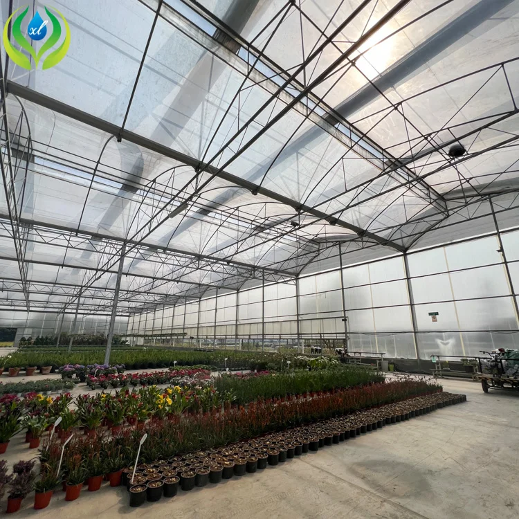 MYXL green house  uv plastic polycarbonate sheet panel greenhouse structure