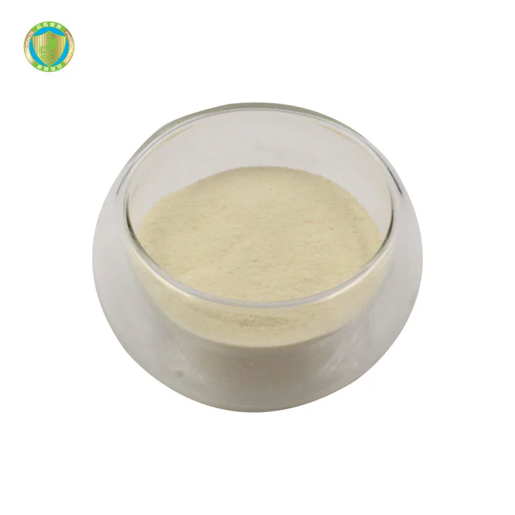 Wholesale Food grade Lactobacillus Bulgaricus 10 billion CFU/g  Bulk Probiotics  Powder