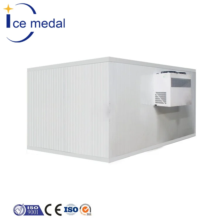 Icemedal 20ft Container Cold Room With Compressor Unit