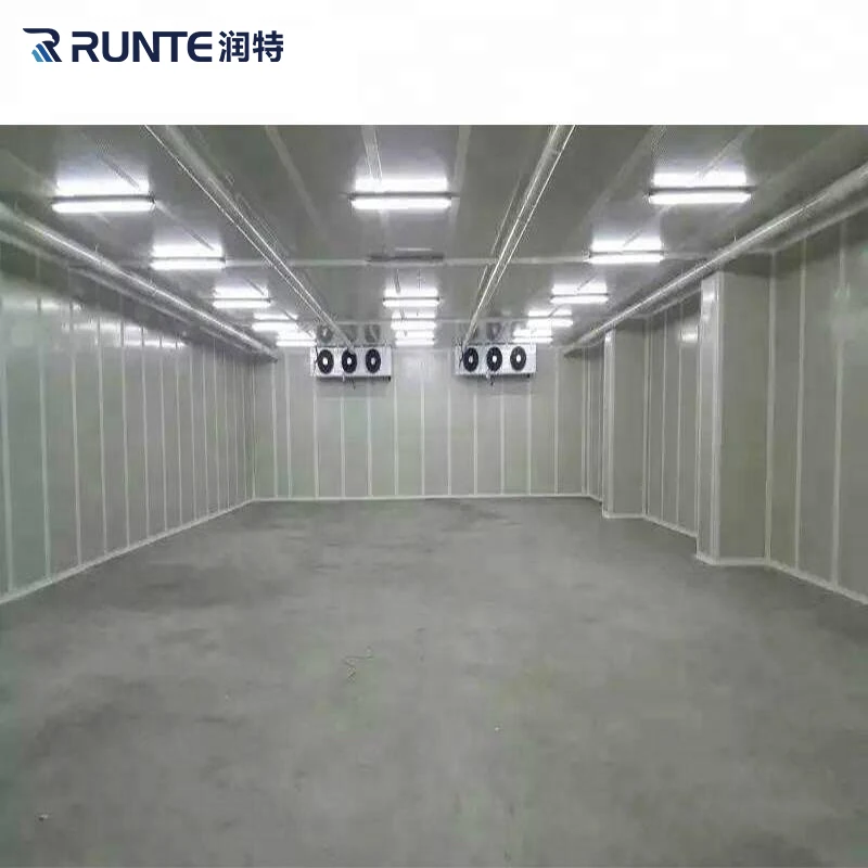 Pu Panel Fruit Chicken Meat Eggs Seafood Restaurant Supermarket Cold Room Manufacturer