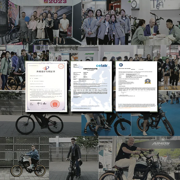1000W fashion removable battery good quality powerful electric bicycle double seat