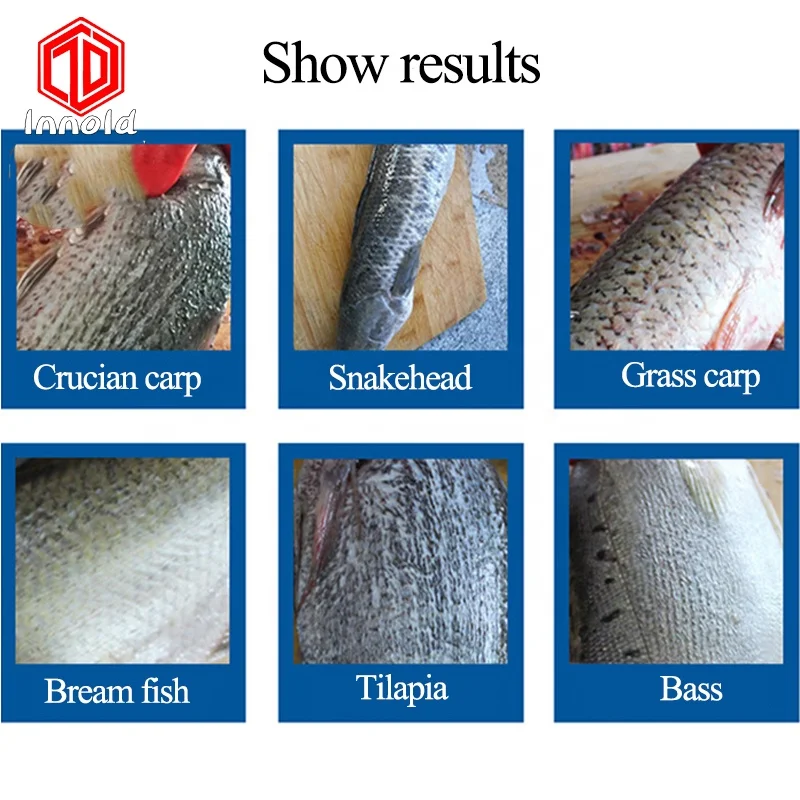 Easy Operation Commercial Remover Fish Scales Machine