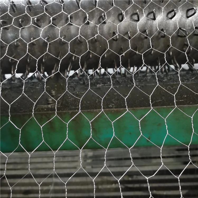 PVC Plastic Coated Green Black Chicken Wire Mesh Hexagonal Wire Netting 3/4 Inches Fence For Chicken Coop
