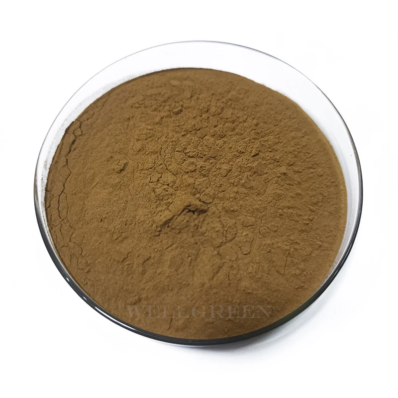 
100% Natural Ivy Leaf Extract Powder Bulk 10% Hederacoside C Ivy Leaf p.e. 