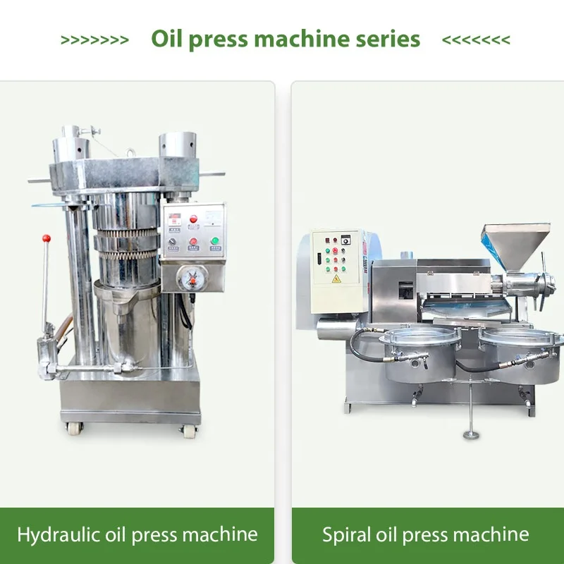 Copra Black Seed Orange Automatic Oil Extraction Cold Press Shea Butter Machine a Presse Huile Dubai