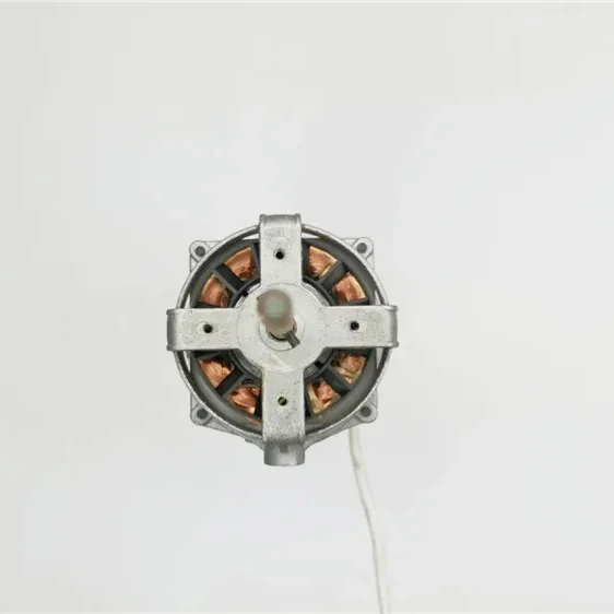 Popular in southeast asian market electric AC 220V 50Hz stand fan motor with external gearbox