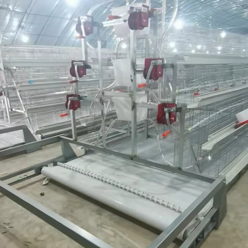 Fully Automatic A-Type Chicken Egg Layer Cages for Sale Premium Animal Cages for Chicken Rearing