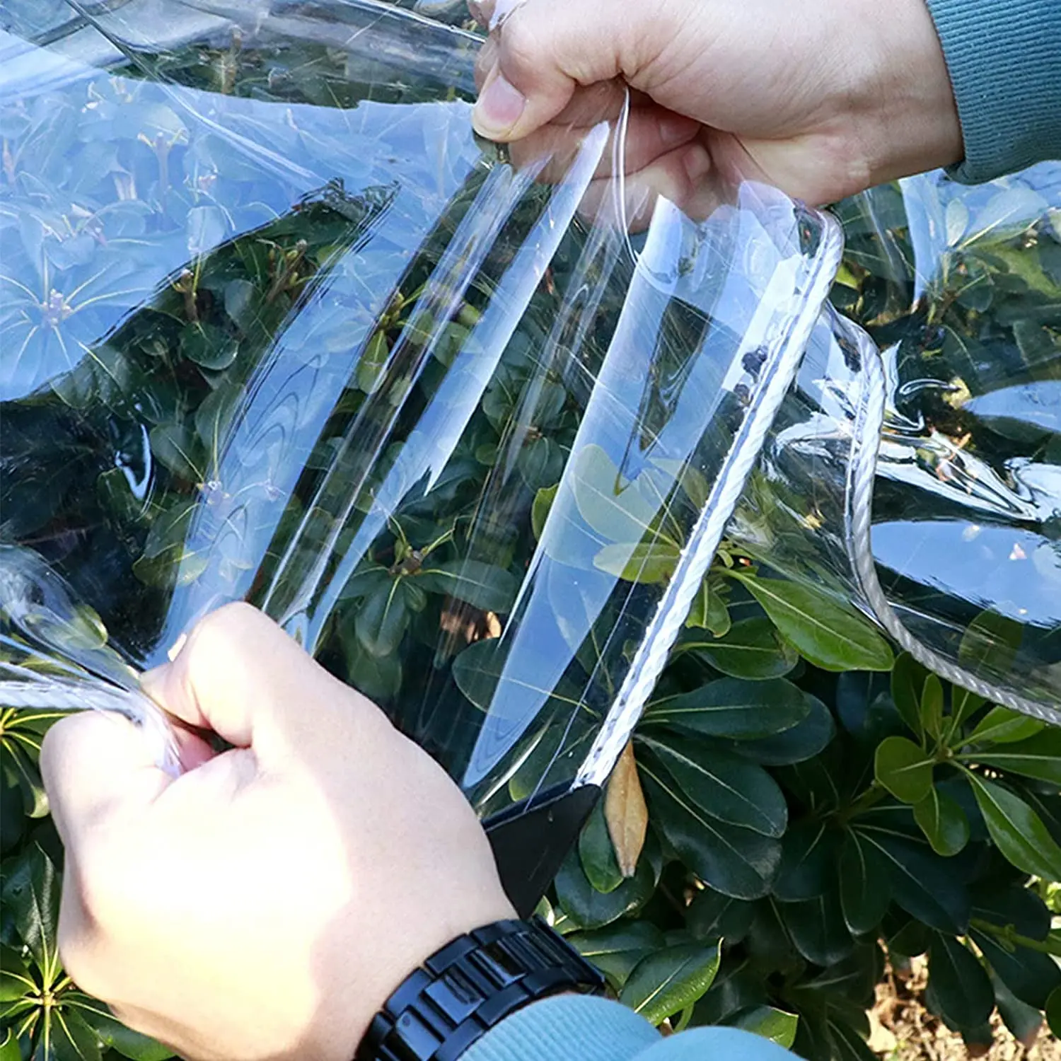 Thicken Transparent Waterproof Tarpaulin, Garden Rainproof Clear Poly Tarp Plant Cover Insulation Shed Cloth with Grommets
