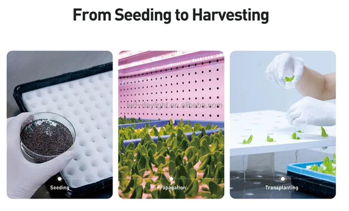 Indoor Growing Cabinet Potato Seeds  Automatic Grow Box Smart Farm System Aeroponics System