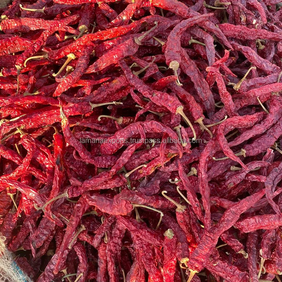 
Guntur Bright Dry Red Chilli Byadgi with Stem India Chilli Deluxe Quality 