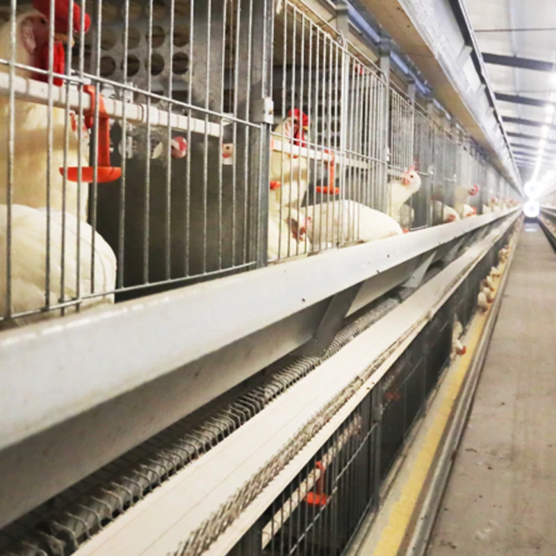 Egg Layer Cages Breeding Chicken Poultry Farm Equipment Battery Cage