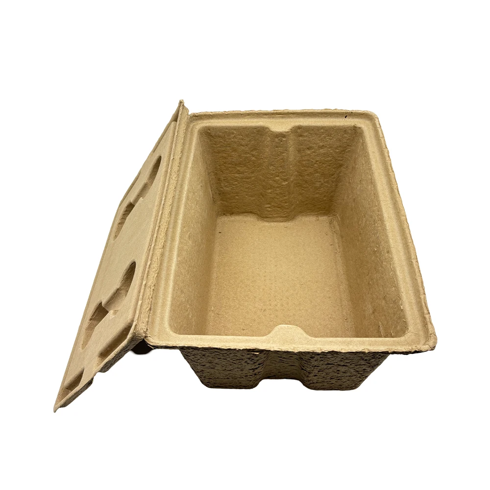 Wholesale Biodegradable Molded Paper Pulp Storage Box Picnic Packaging Boxes with Lid`